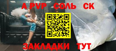 крисы Камышлов