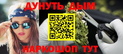 крисы Камышлов