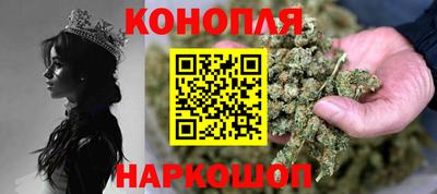 крисы Камышлов