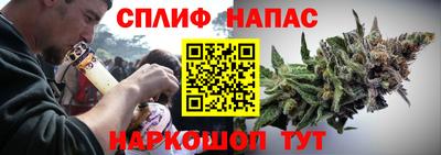 дмт Канаш