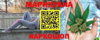 крисы Камышлов