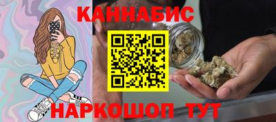 крисы Камышлов