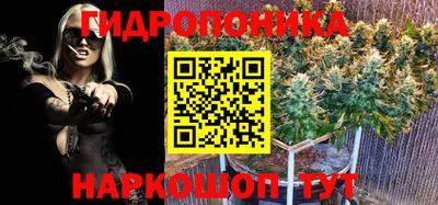 крисы Камышлов