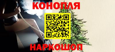 крисы Камышлов