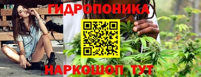 дмт Канаш