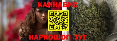 крисы Камышлов