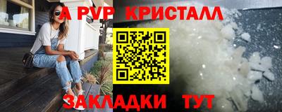 крисы Камышлов