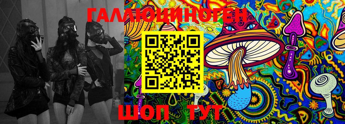 Галлюциногенные грибы Cubensis  Вход с VPN  Дальнереченск 